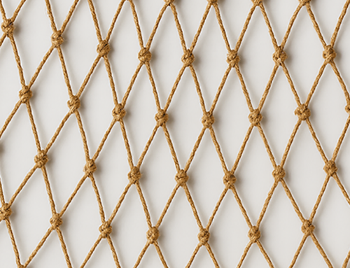 Stakeholder Engagement